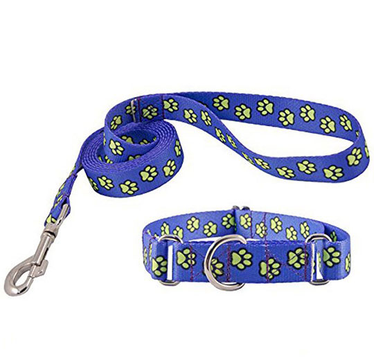 Dog Leash