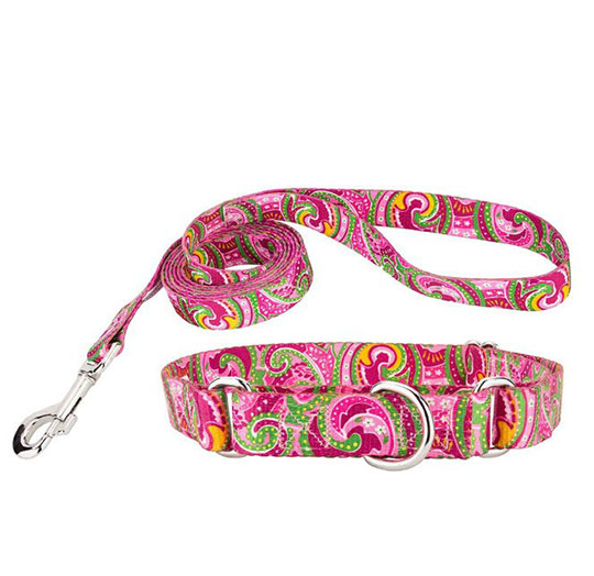 Dog Leash & Collar Products supplier in China | iLanyardmfg.com