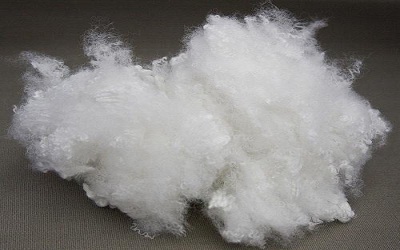 Polyester Fiber